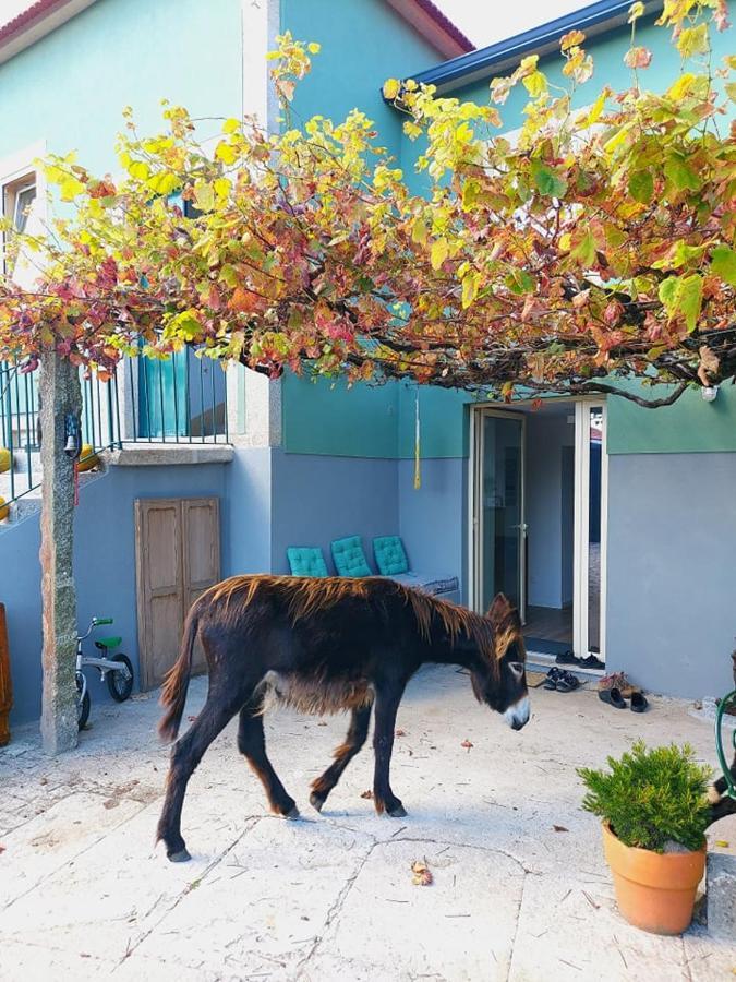 Quinta Da Quinhas Villa วีลาปรายา เด อันโกรา ภายนอก รูปภาพ