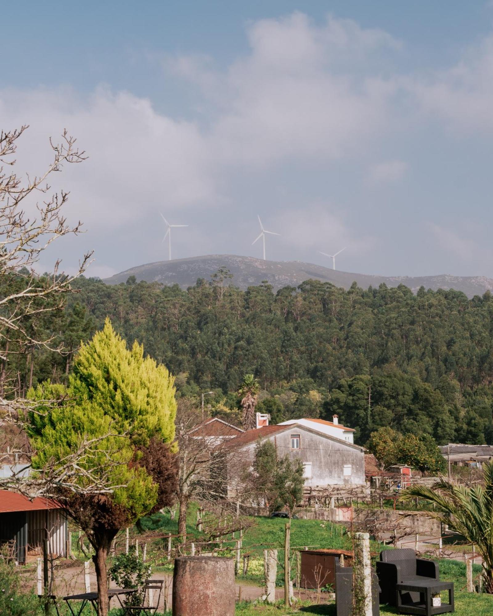 Quinta Da Quinhas Villa วีลาปรายา เด อันโกรา ภายนอก รูปภาพ